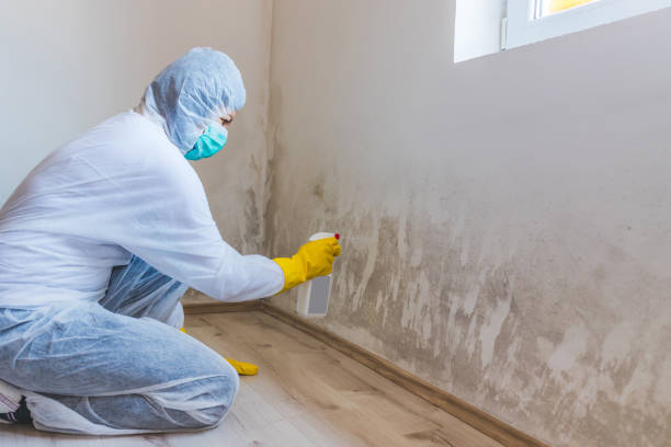 Mold inspector in Wheaton performing thermal imaging